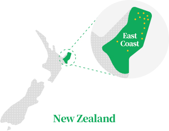 뉴질랜드 조림지 지도